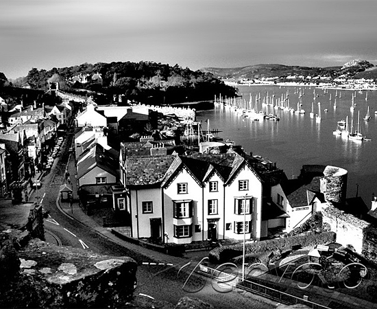 短信轰在线网页版入口